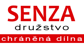 Primary Raster logo